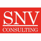 logo SNV Consulting