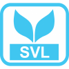 review SVL Corporation 1