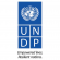 apply to UNDP 4