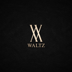 logo Waltz Vision