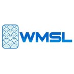 logo Wealth Management System Limited WMSL