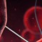 หางาน สมัครงาน Siriraj Center of Research Excellence in Theranostic Nanomedicine 1 หางาน สมัครงาน Siriraj Center of Research Excellence in Theranostic Nanomedicine 1