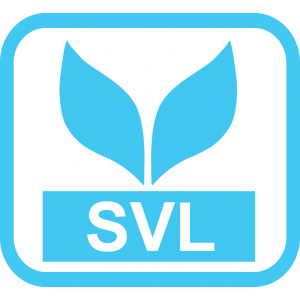 หางาน สมัครงาน SVL Corporation 5 หางาน สมัครงาน SVL Corporation 5